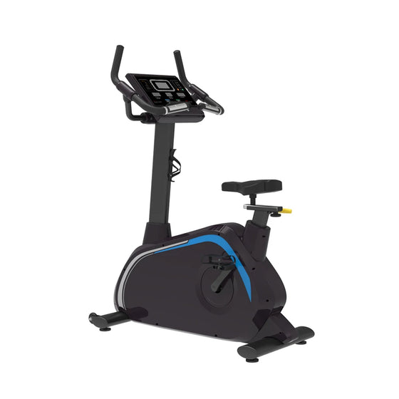 Standfahrrad
