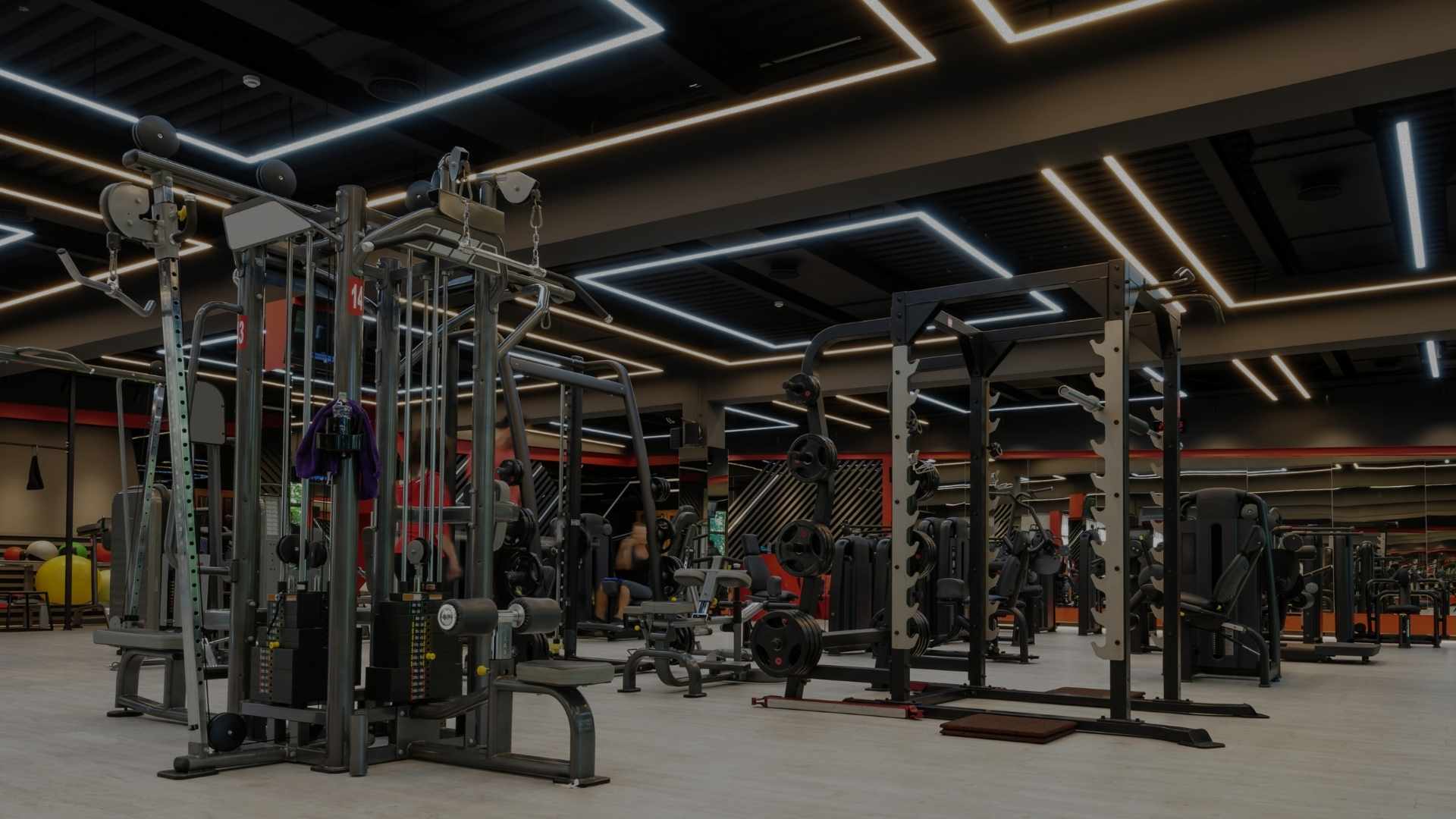 mukkis gym equipment beispielstudio